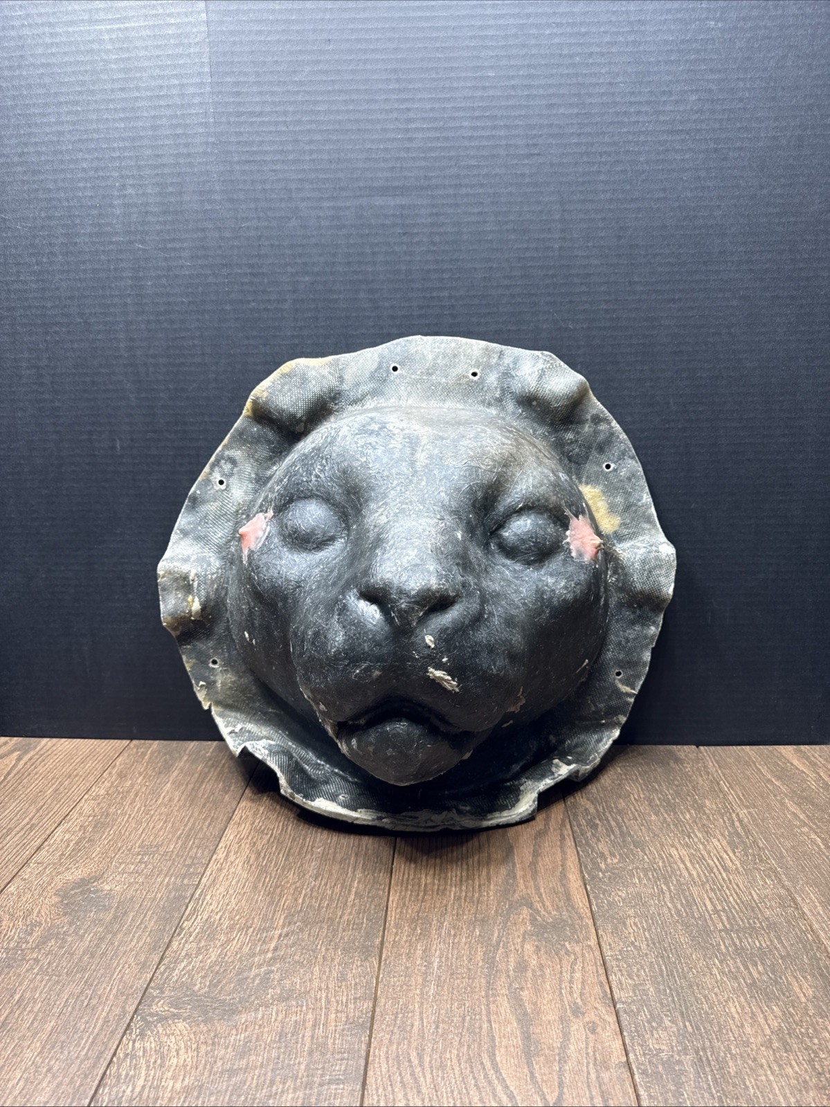 Rare Vintage Fiberglass Lion – Tiger Head Unique Oddities Collectible