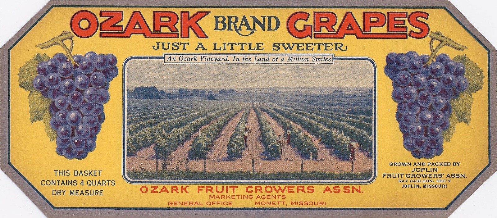 (2) VINTAGE ORIGINAL 1930 “OZARK BRAND” BERRY BOX LABELS MONETT/JOPLIN MISSOURI